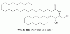 缔美诗皮肤管理：护肤课堂之神经酰胺